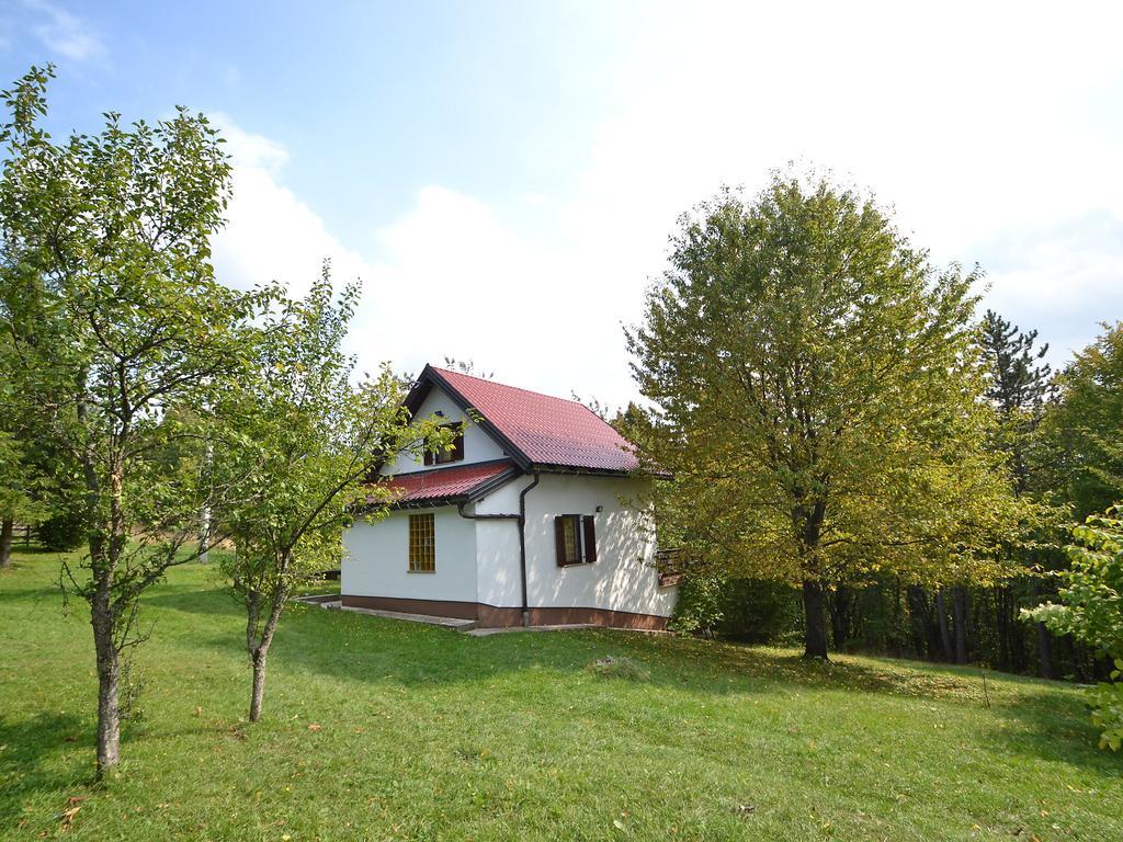 Coprnicka Hisa Holiday home Skrad