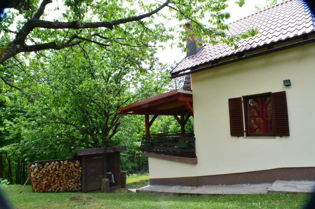 Coprnicka Hisa Holiday home *