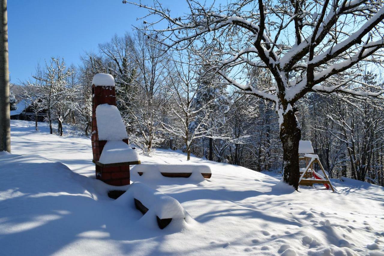 Holiday home Coprnicka Hisa